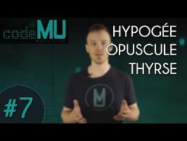 Code MU #7 - HYPOGÉE, OPUSCULE, THYRSE