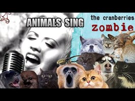 Cranberries - Zombie (Animal Cover)