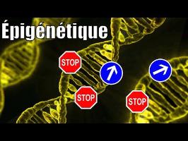 Il n'y a pas que les gènes dans la vie ! L'épigénétique, avec P'tite Jane — Science étonnante #52