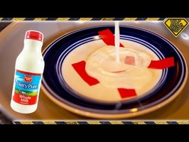 Can You Fix a Plate With Milk? (Debunking Viral Videos)