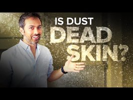 Is Dust Mostly Dead Skin?