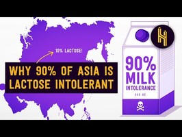 Why 90% of Asians are Lactose Intolerant
