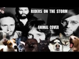 The Doors - Riders On The Storm (Animal Cover)