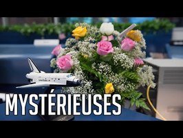 🚀 L'histoire folle des bouquets de Houston
