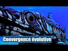 La convergence évolutive - IRL