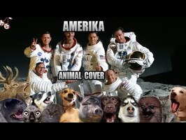 Rammstein - Amerika (Animal Cover)