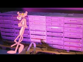 The Pink Panther on FLOPPOTRON