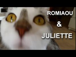 Romiaou & Juliette