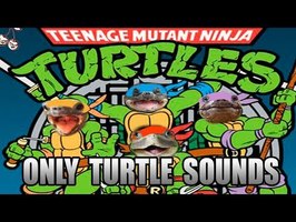 Teenage Mutant Ninja Turtles main theme but it's made with only turtle sounds