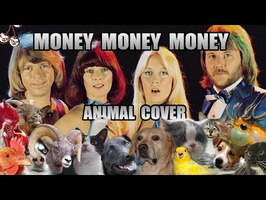 ABBA - Money Money Money (Animal Cover)