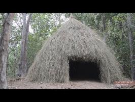 Grass hut