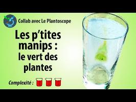 [PtitesManips] Le vert des plantes - avec le Plantoscope