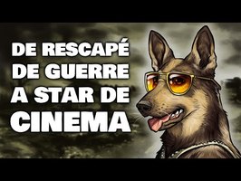 Rintintin : le chien français qui sauva Warner Bros !
