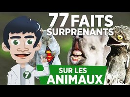 77 FAITS SURPRENANTS SUR LES ANIMAUX