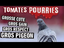 🍅 La PIRE campagne de PARIS en ligne ! Tomates Pourries !